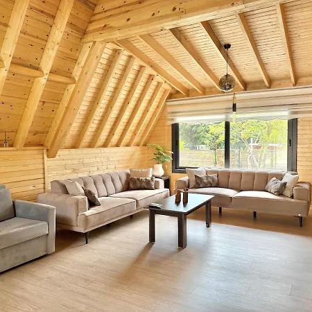 With Hot Pool In Willa *