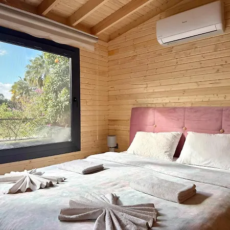 With Hot Pool In Villa