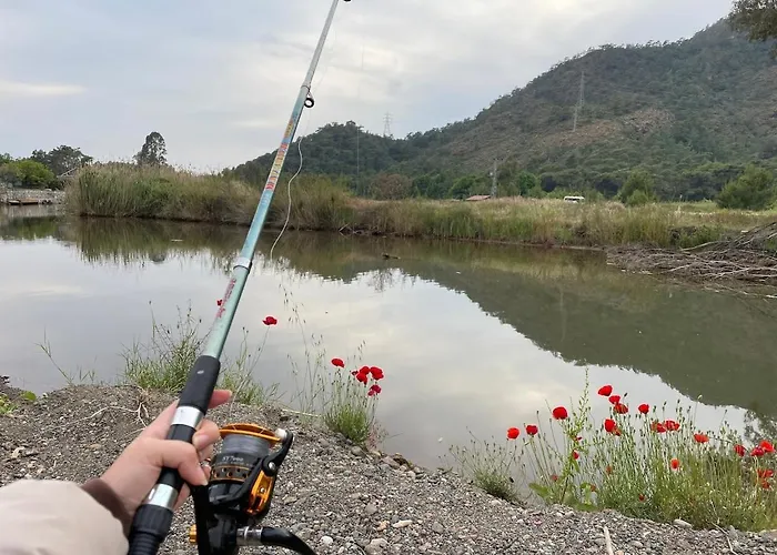 וילה With Hot Pool In